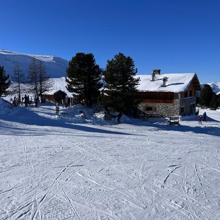 La Plagne Appartement au pied des pistes avec vue Mont Blanc - Apartment mit 1 Schlafzimmer - 45