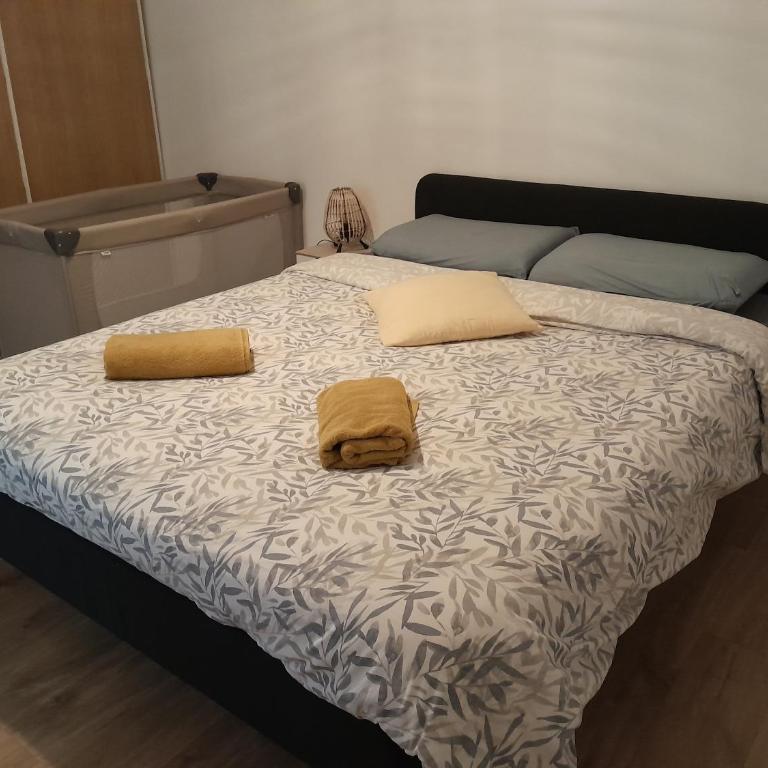 Amiens la vénus de renancourt face au zenith - Appartement 1 Chambre - 15