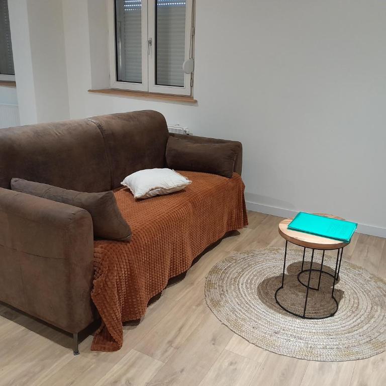 Amiens la vénus de renancourt face au zenith - Appartement 1 Chambre - 19