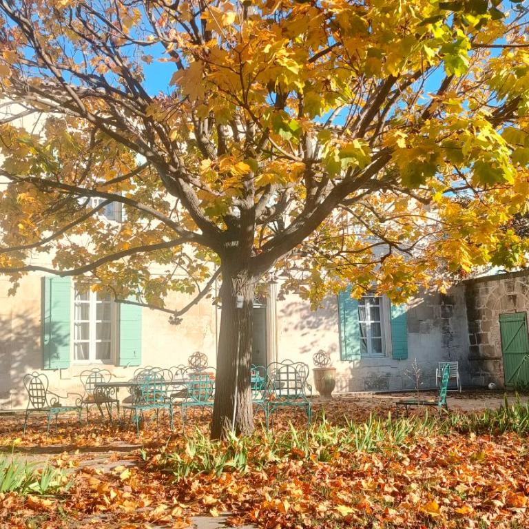 La Folie mas provençal climatisé avec piscine - Villa - 59