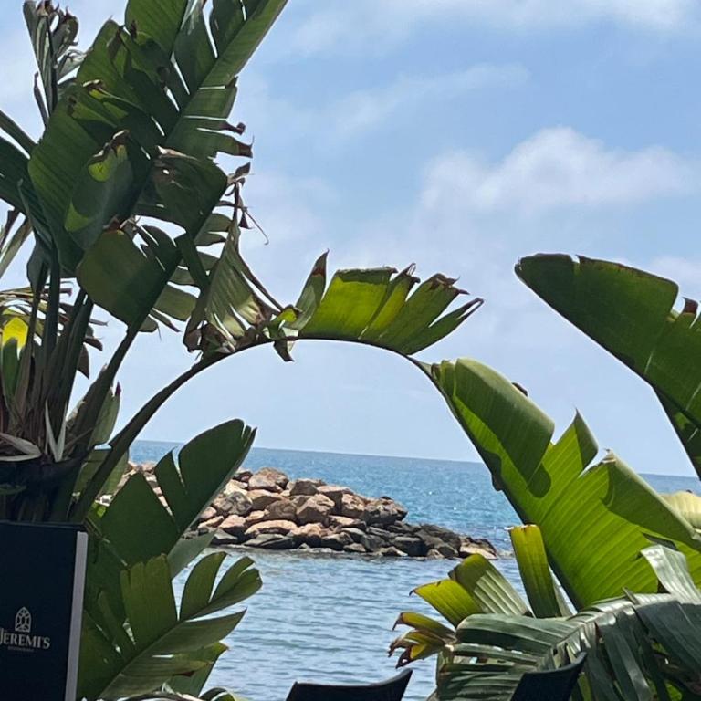 Dudi Apart - Apartamento de 2 dormitorios con vistas parciales al océano - 11