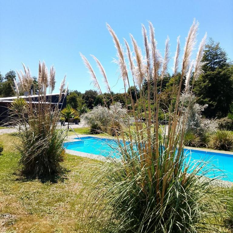 Casa con Piscina y Cama elástica - Three-Bedroom House - 79