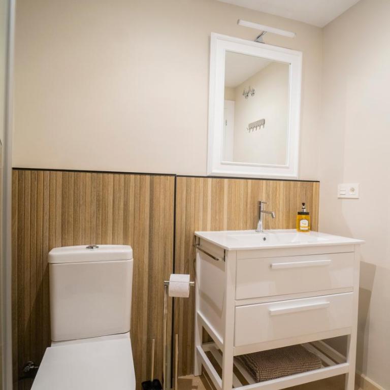 H&H Suite Ganivet Center - Two-Bedroom Apartment with City View - 28