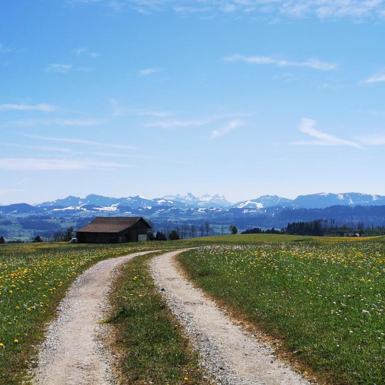 "Ferienwohnung-Alpenglühen" auf dem Ferienhof Singer - Apartment mit 2 Schlafzimmern und Bergblick - 25