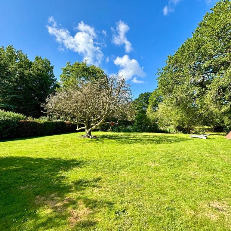 Maison spacieuse à Carnac, 5 pièces, 5000m² jardin, animaux OK, parking, proche plages - FR-1-377-96 - Maison de Vacances - 13