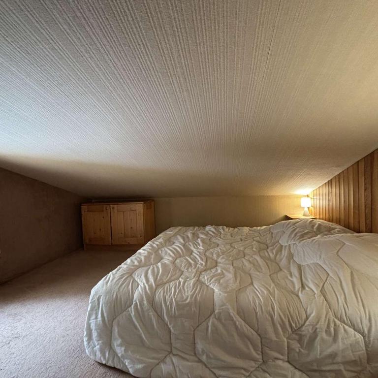 Appartement rénové 2 pièces + mezzanine près des pistes, calme et confort - Appartamento con 1 Camera da Letto - 7
