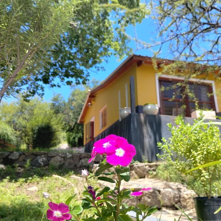 La Calandria - Three-Bedroom House - 3