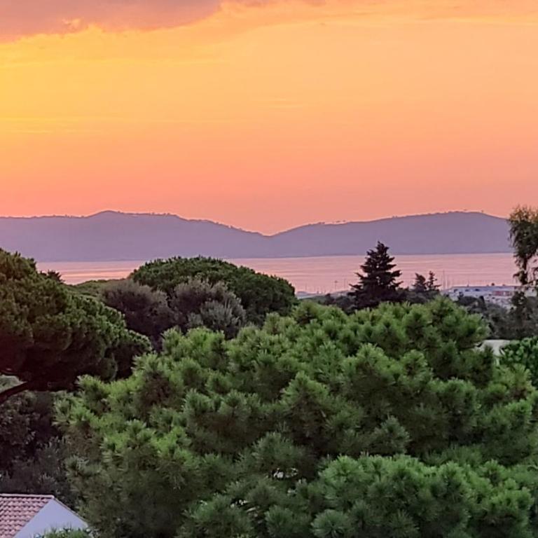 Appartement climatisé T3 vue mer de 63 M2 - 2 chambres et belle terrasse de 23 M2 - Appartement 2 Chambres avec Terrasse et Vue sur la Mer - 40
