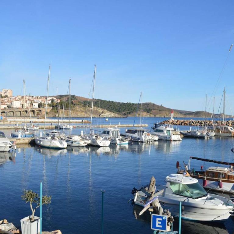 Appart T1 BANYULS SUR MER LA GRANDE BLEUE BN410-023 - Apartment - 16