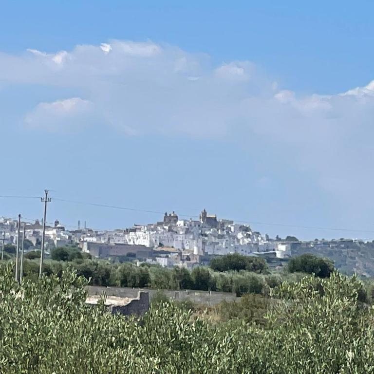 OSTUNI MIRROR trullo and mirror house - Casa con 2 Camere da Letto - 28