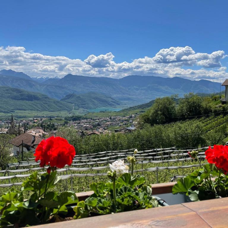 Weißhaus Hof - Appartamento con 2 Camere da Letto e Vista Lago - 1
