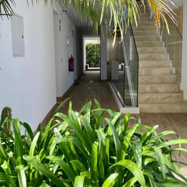 Appartement with little saltpool - Apartamento de 2 dormitorios - 19