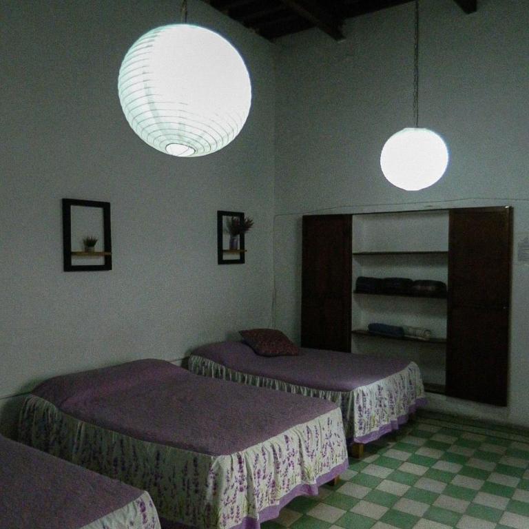 Lele Panchito y Lavanda Juntos en el Centro - Four-Bedroom Deluxe Apartment - 35
