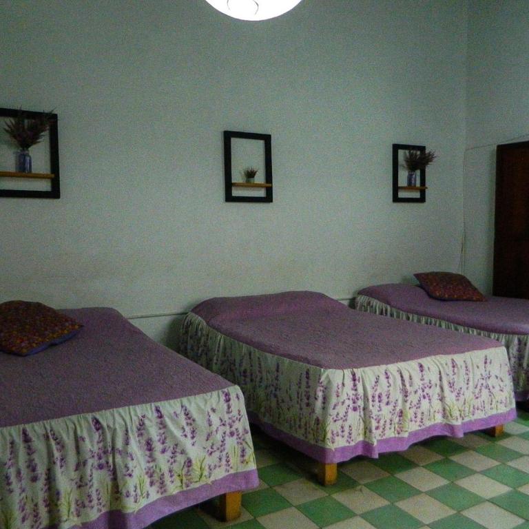 Lele Panchito y Lavanda Juntos en el Centro - Four-Bedroom Deluxe Apartment - 38