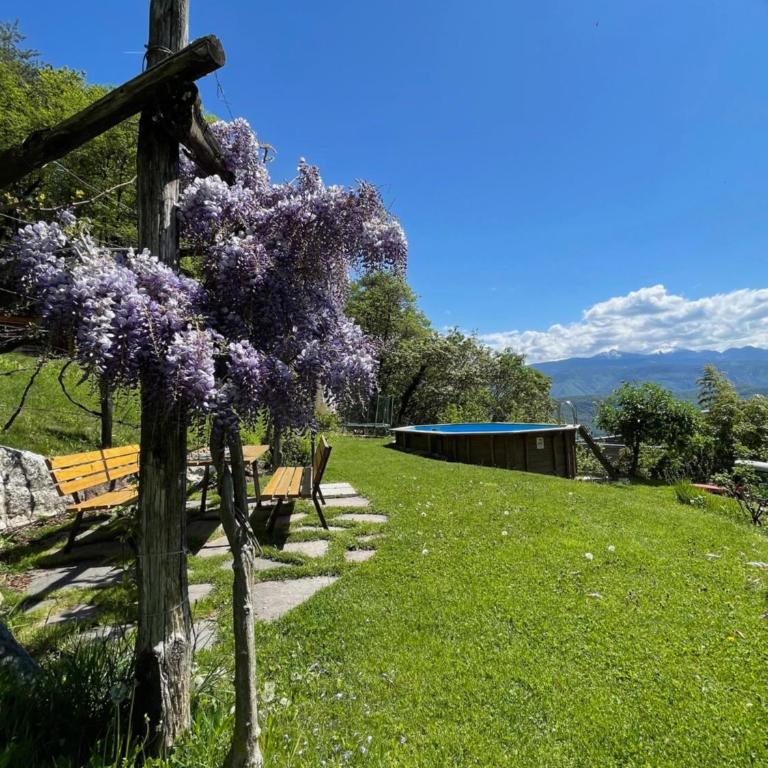 Weißhaus Hof - Appartamento con 2 Camere da Letto e Vista Lago - 4