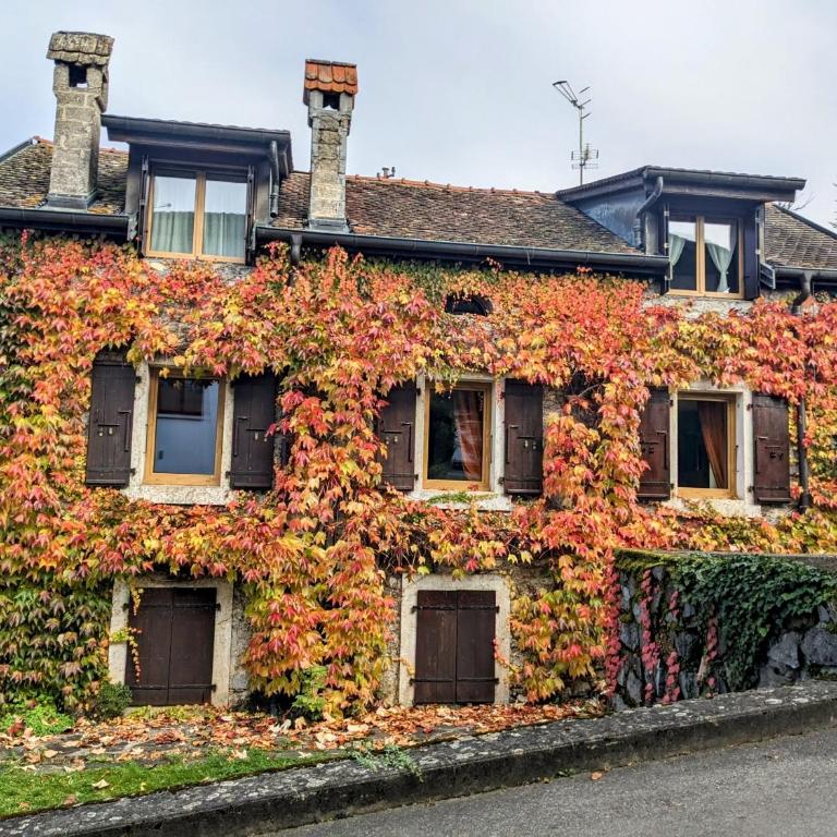 Maison de charme au bord du lac Léman - Maison 3 Chambres - 30