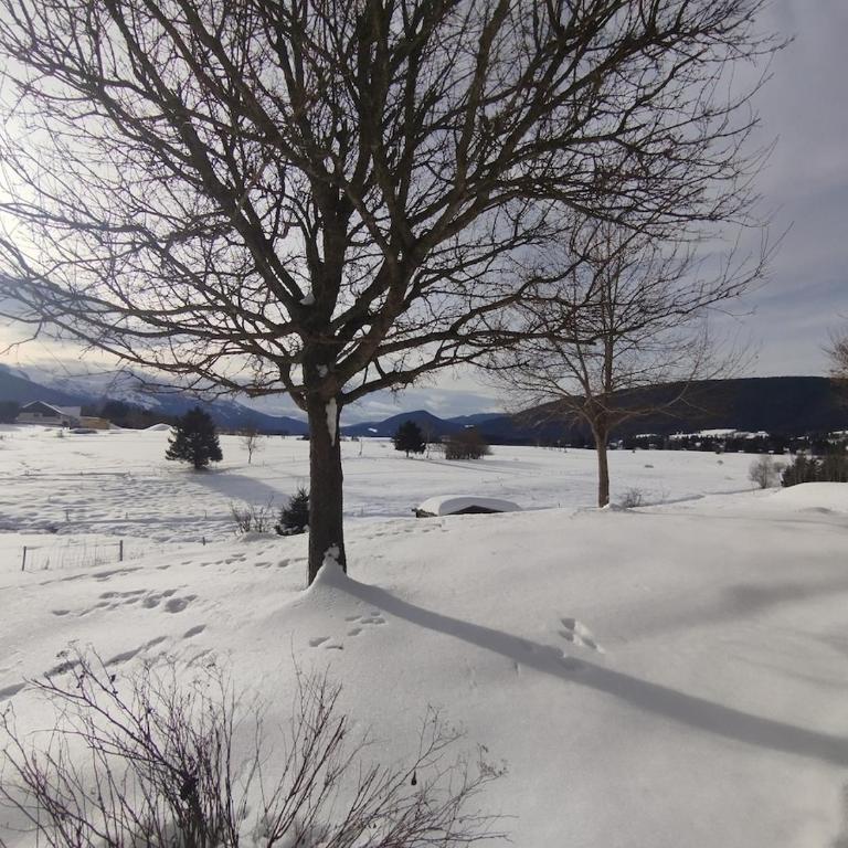 Grande maison familiale jusqu'à 14 personnes à Lans en Vercors - Maison 5 Chambres - 39