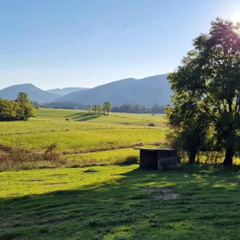Grande maison familiale jusqu'à 14 personnes à Lans en Vercors - Maison 5 Chambres - 47
