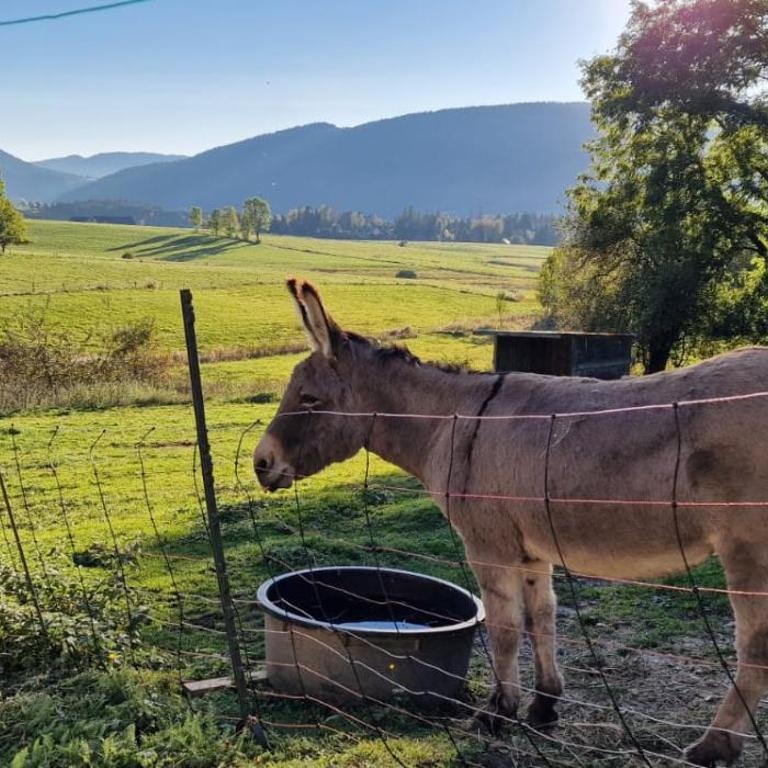 Grande maison familiale jusqu'à 14 personnes à Lans en Vercors - Maison 5 Chambres - 2