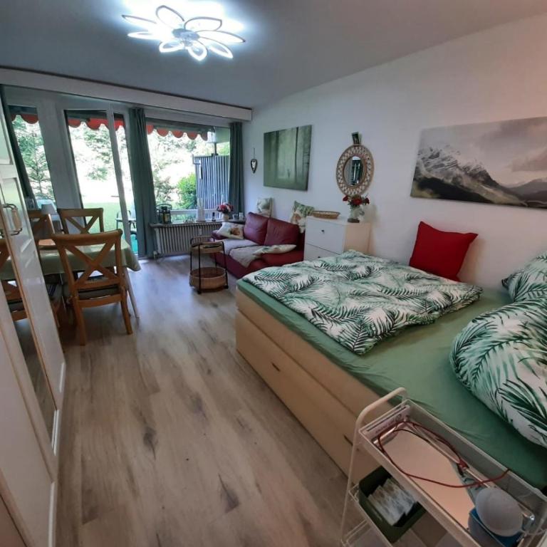 Alpenschwänchen 4 - Saalachschwänchen - Apartment - 8