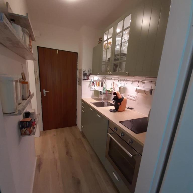 Alpenschwänchen 4 - Saalachschwänchen - Apartment - 12