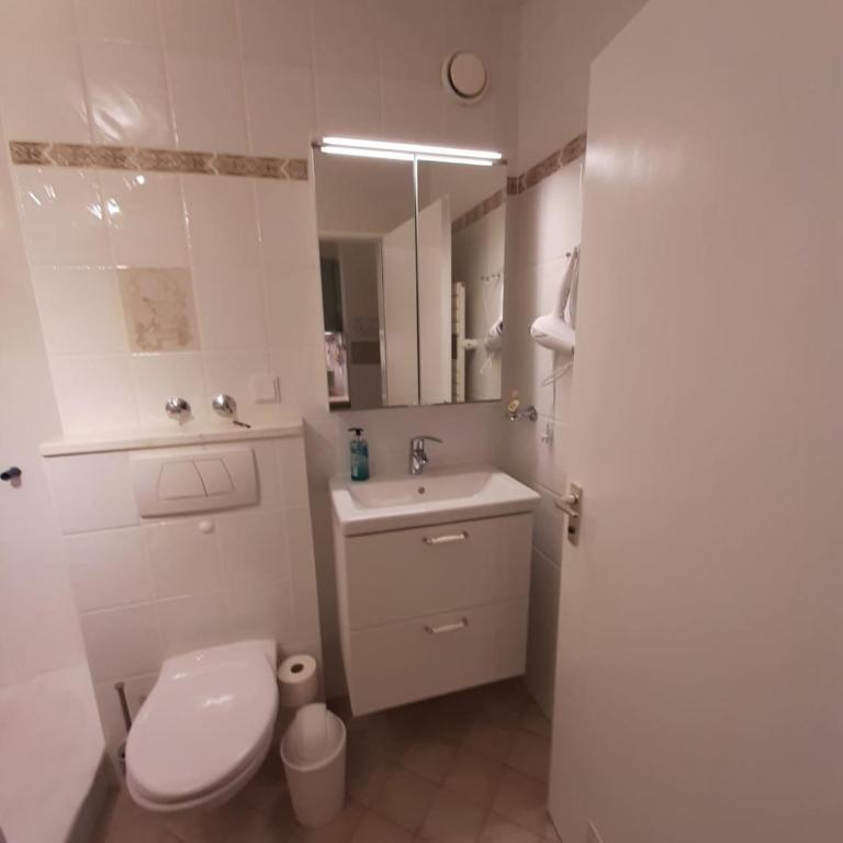 Alpenschwänchen 4 - Saalachschwänchen - Apartment - 17
