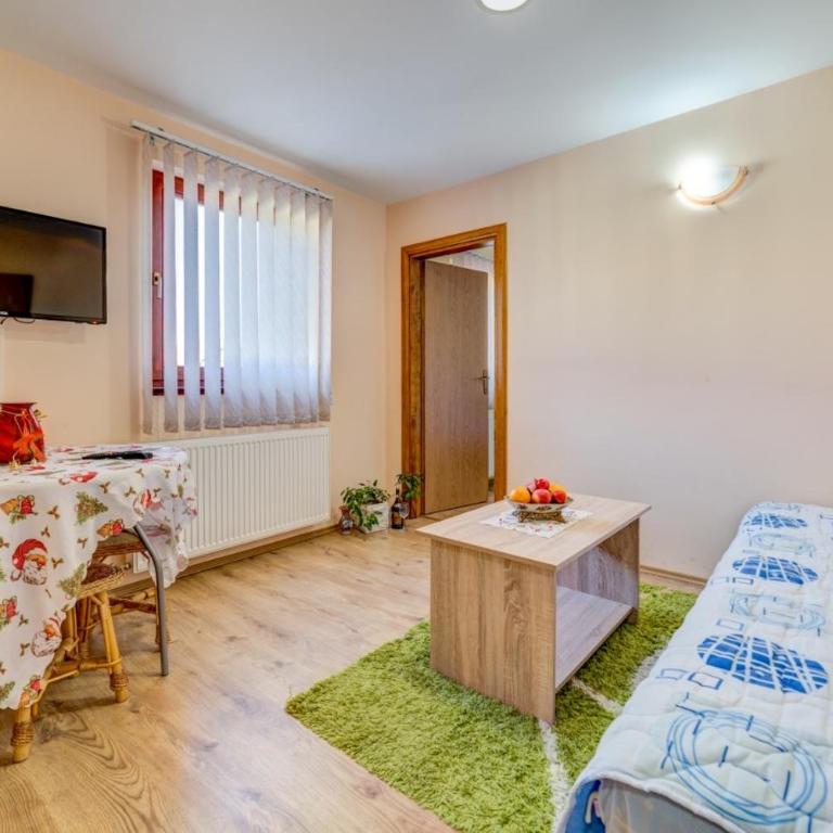 Zlatibor Relax Apartment - One-Bedroom Apartment - 1