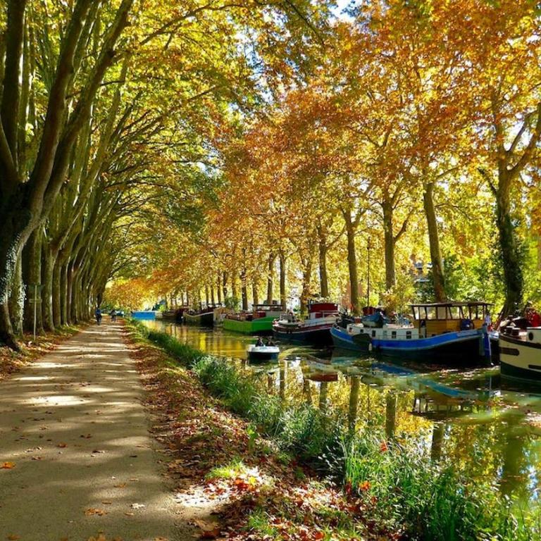 Maison/Parking Privé/Piscine/Wifi/Canal du midi - Maison 2 Chambres - 22