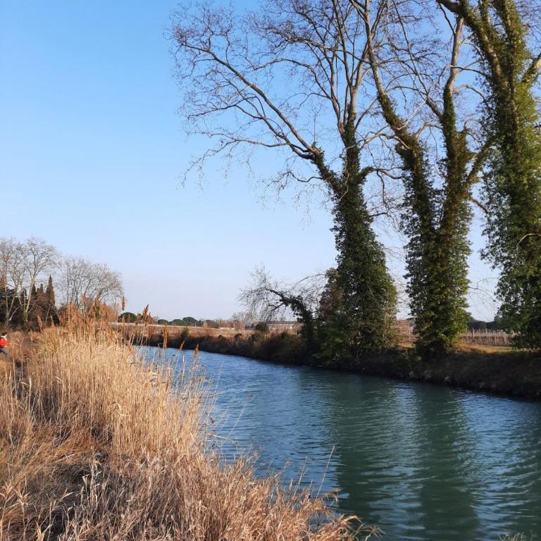 Maison/Parking Privé/Piscine/Wifi/Canal du midi - Maison 2 Chambres - 28