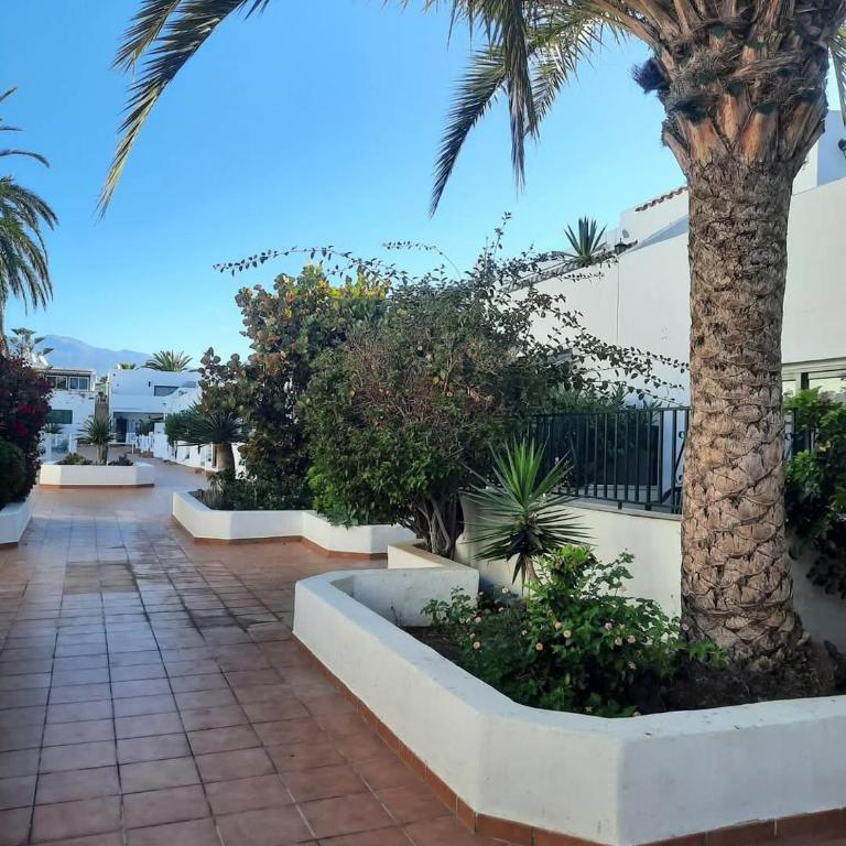 Avenna House in Costa del Silencio - Apartamento de 2 dormitorios - 9