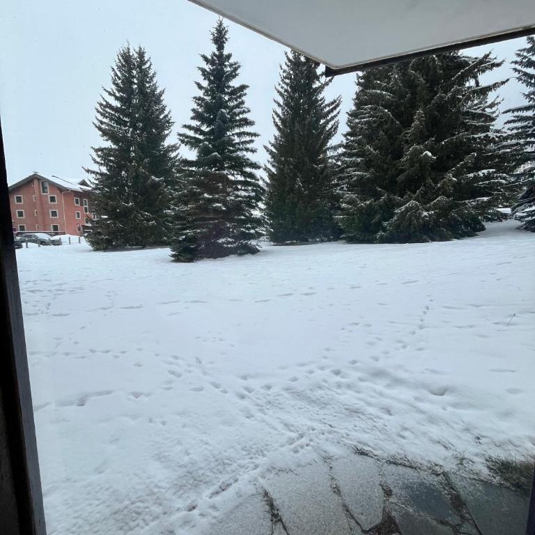 Grazioso appartamento vicino alle piste - Apartment mit 2 Schlafzimmern - 2
