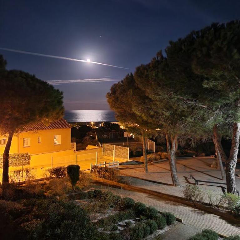 Vue sur Mer - Appartement 1 Chambre - 12