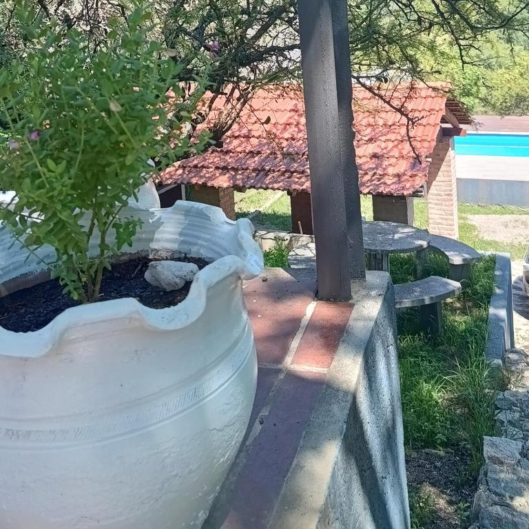 La Calandria - Three-Bedroom House - 9