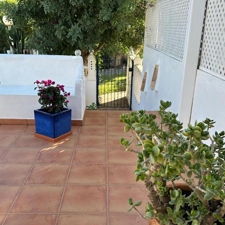 Casa Azul de Agnes - Two-Bedroom House - 9