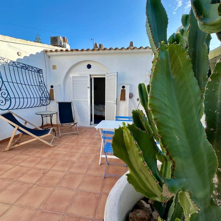 Casa Azul de Agnes - Two-Bedroom House - 5