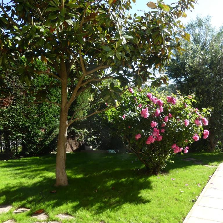 Grande Villa proche Sophia avec magnifique vue mer - Villa - 16