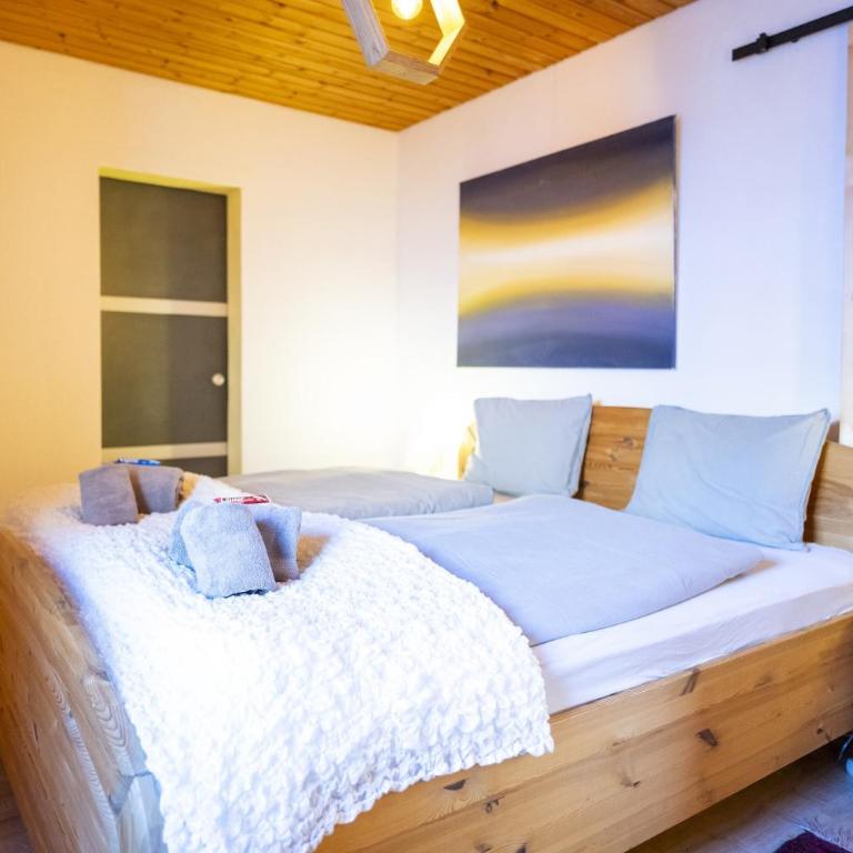 Chasa Patgific Wohnung - Apartment mit Terrasse - 21