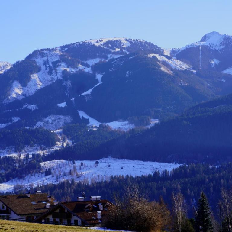 My sweet home in the Dolomites - A93A Apartment Alicia - Apartamento Premium de 3 dormitorios con balcón - 63