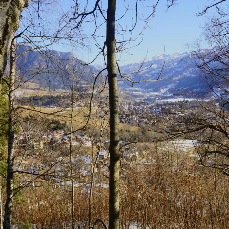 My sweet home in the Dolomites - A93A Apartment Alicia - Apartamento Premium de 3 dormitorios con balcón - 66