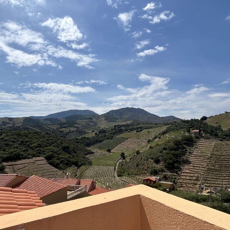 Appart 3 pièces 5 couchages BANYULS SUR MER BN090-F18 - Two-Bedroom Apartment - 15