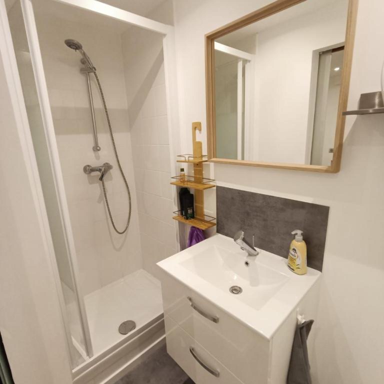 L'Échappée Zen Sauna Privatif et Shopping, tram à coté - Appartamento con 1 Camera da Letto - 9