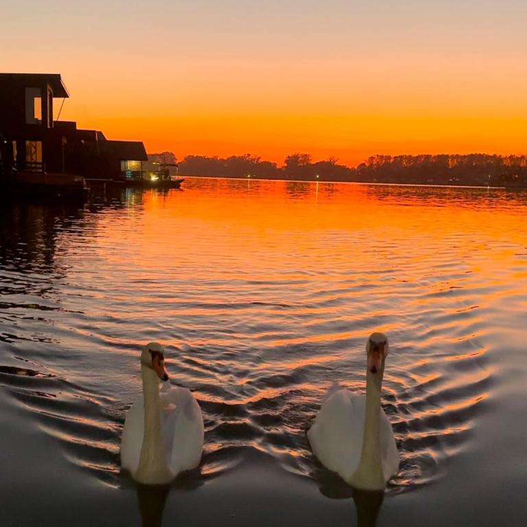 The Nest Raft - Kuća sa 2 Spavaće Sobe - 24