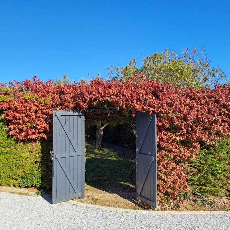 Logement - Carcassonne - Casa con 2 Camere da Letto - 15