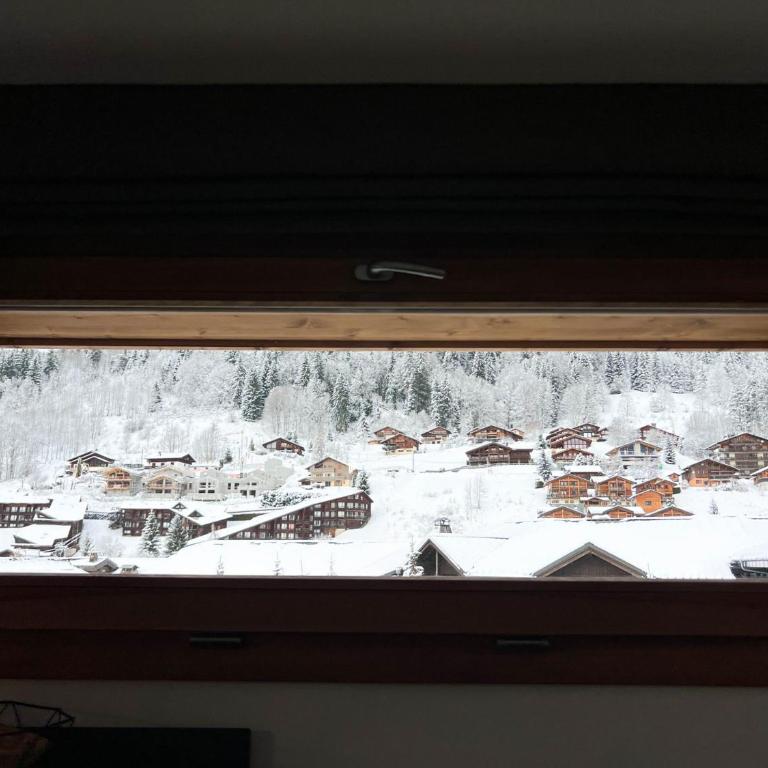 Les Gets: Appartement cosy, garage privé, Wi-Fi, linge inclus - FR-1-671-256 - Appartamento - 31
