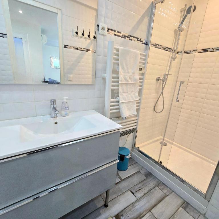 Appartement T2 37M2 PRADO VELODROME PARC CHANOT MARSEILLE - Appartement 1 Chambre - 5