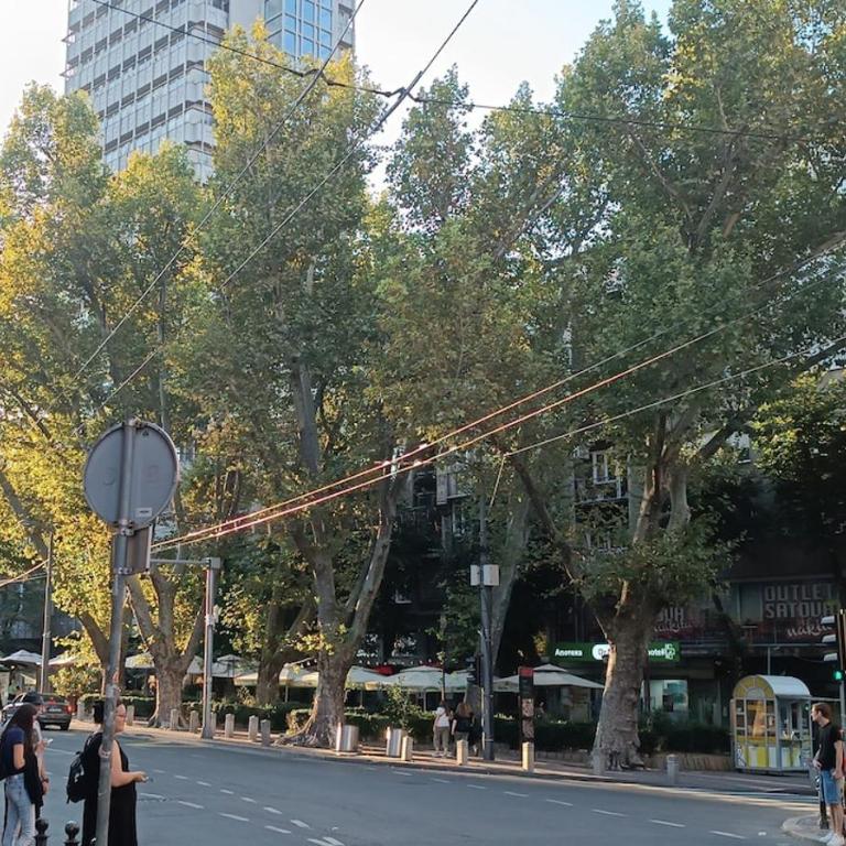 Bell Apartment - Apartman sa 1 Spavaćom Sobom - 19