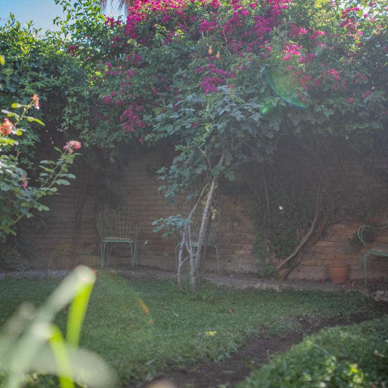 Casa Jade tú hogar familiar entre Viñedos y Montañas - Casa de 2 dormitorios - 25
