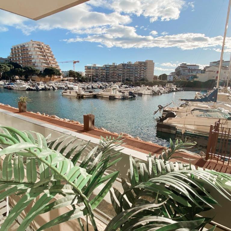 Magnifique T2 au calme avec une superbe vue sur le port - Appartement 1 Chambre - 7