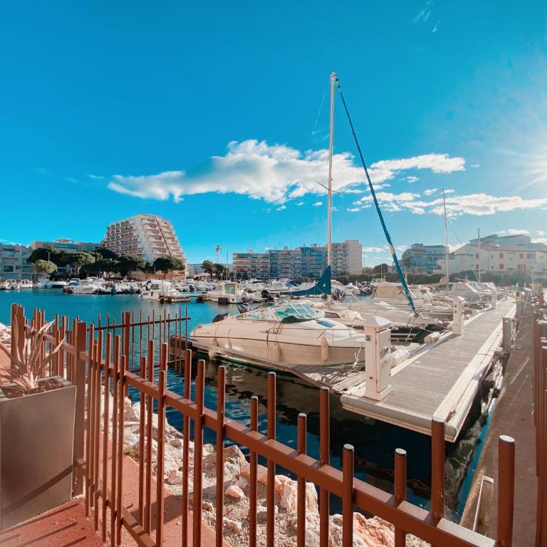 Magnifique T2 au calme avec une superbe vue sur le port - Appartement 1 Chambre - 36