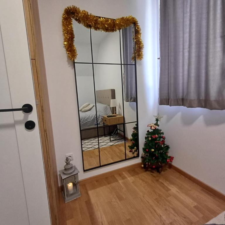 Apartman Nina Divcinova - Apartman sa 1 Spavaćom Sobom - 3